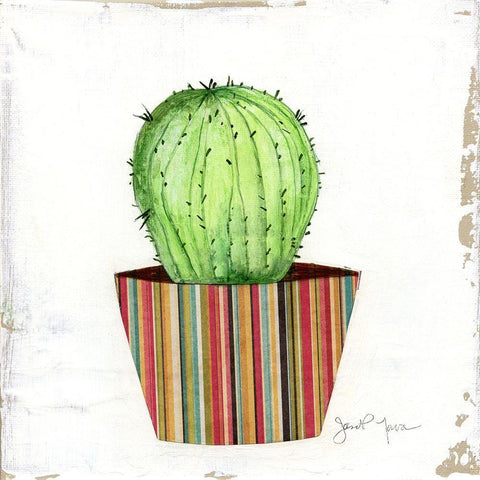 Boho Cacti III White Modern Wood Framed Art Print with Double Matting by Tava Studios