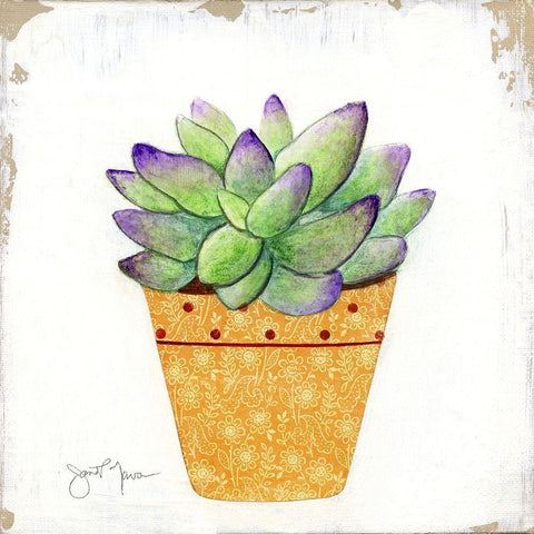 Boho Cacti IV White Modern Wood Framed Art Print with Double Matting by Tava Studios
