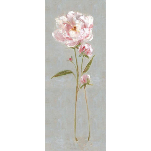 Peony Magic II White Modern Wood Framed Art Print by Swatland, Sally