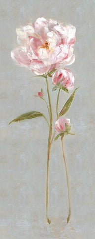 Peony Magic II White Modern Wood Framed Art Print with Double Matting by Swatland, Sally