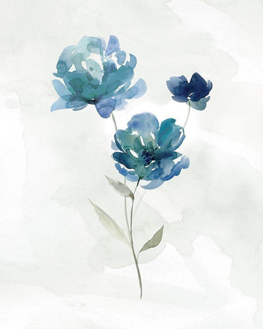 Blue Botanical I White Modern Wood Framed Art Print with Double Matting by Robinson, Carol