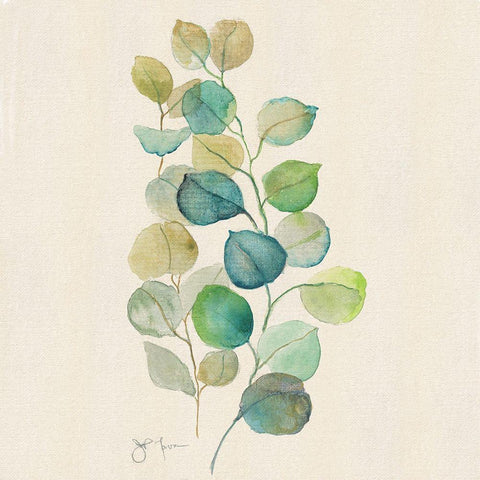 Eucalyptus II White Modern Wood Framed Art Print with Double Matting by Tava Studios