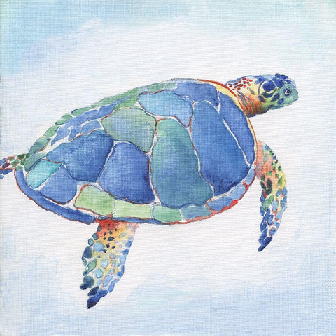 Galapagos Sea Turtle I Black Modern Wood Framed Art Print with Double Matting by Tava Studios