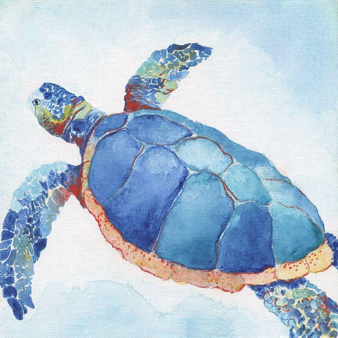 Galapagos Sea Turtle II White Modern Wood Framed Art Print with Double Matting by Tava Studios