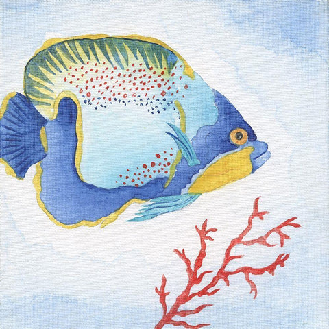 Galapagos Fish I Black Ornate Wood Framed Art Print with Double Matting by Tava Studios