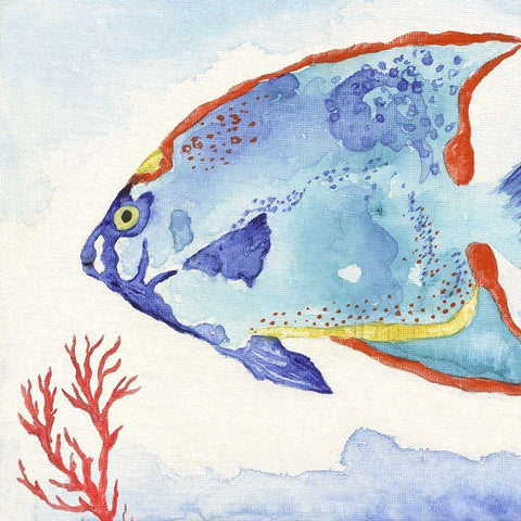 Galapagos Fish II White Modern Wood Framed Art Print with Double Matting by Tava Studios