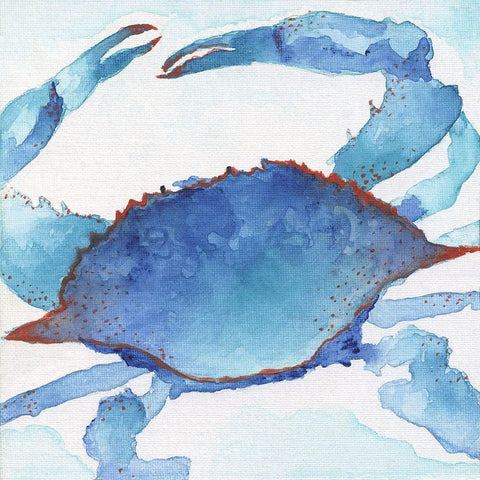 Galapagos Crab White Modern Wood Framed Art Print with Double Matting by Tava Studios