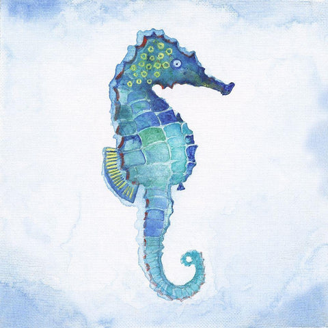Galapagos Sea Horse White Modern Wood Framed Art Print with Double Matting by Tava Studios