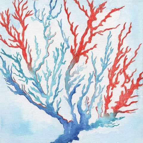 Galapagos Coral White Modern Wood Framed Art Print with Double Matting by Tava Studios