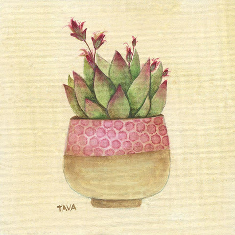 Flowering Succulent I White Modern Wood Framed Art Print with Double Matting by Tava Studios