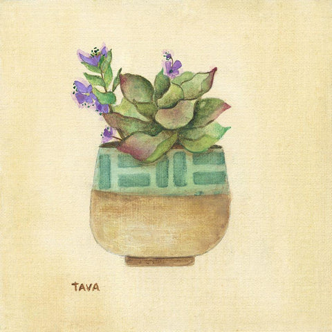 Flowering Succulent II White Modern Wood Framed Art Print with Double Matting by Tava Studios