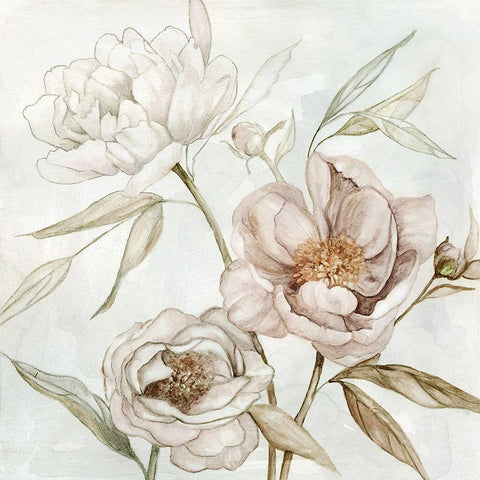 Washed Botanical I White Modern Wood Framed Art Print by Robinson, Carol
