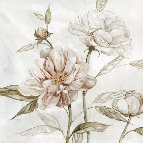 Washed Botanical II Black Ornate Wood Framed Art Print with Double Matting by Robinson, Carol
