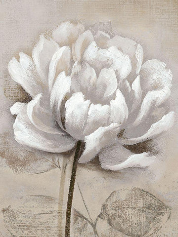Soft White I Black Ornate Wood Framed Art Print with Double Matting by Nan