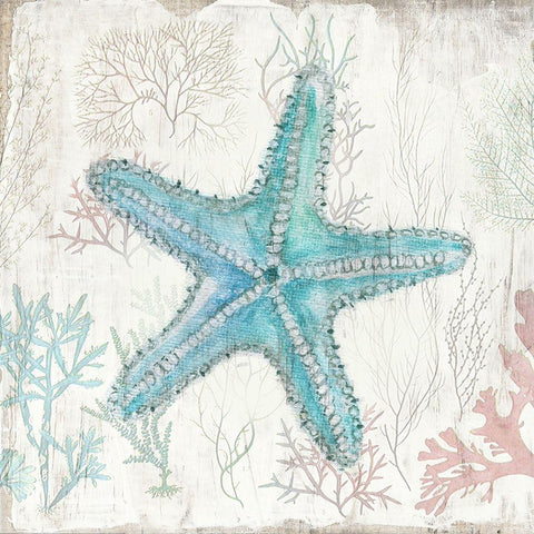 Coral and Shell III Black Ornate Wood Framed Art Print with Double Matting by Tava Studios
