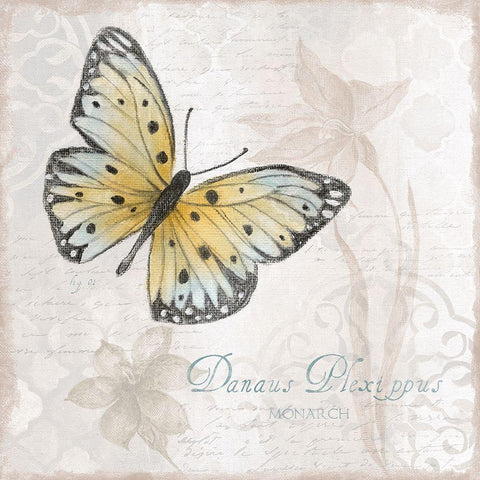 Postcard Butterfly I White Modern Wood Framed Art Print with Double Matting by Tava Studios