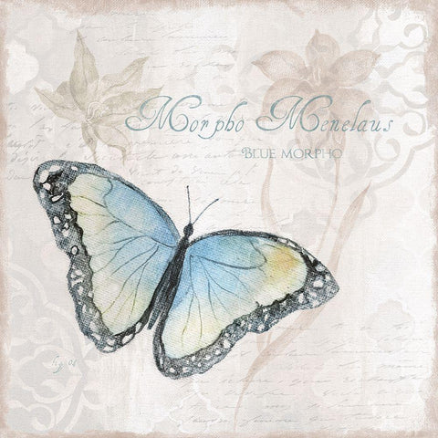 Postcard Butterfly III White Modern Wood Framed Art Print with Double Matting by Tava Studios