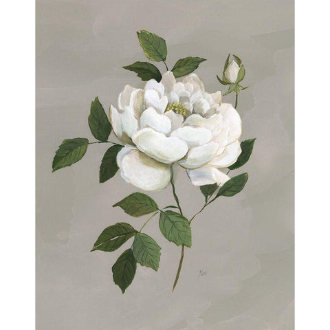Botanical Rose White Modern Wood Framed Art Print by Nan