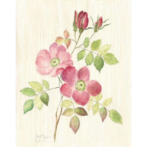 Dusty Rose I White Modern Wood Framed Art Print by Tava Studios