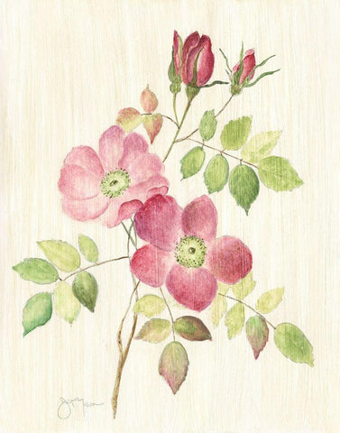 Dusty Rose I White Modern Wood Framed Art Print with Double Matting by Tava Studios