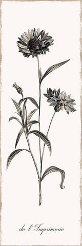 Slender Imperial Black Ornate Wood Framed Art Print with Double Matting by Donovan, Kelly