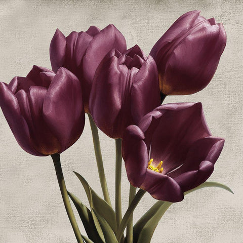 Royal Tulips White Modern Wood Framed Art Print by Levashov, Igor