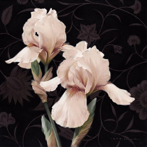 Iris Elegante White Modern Wood Framed Art Print by Levashov, Igor