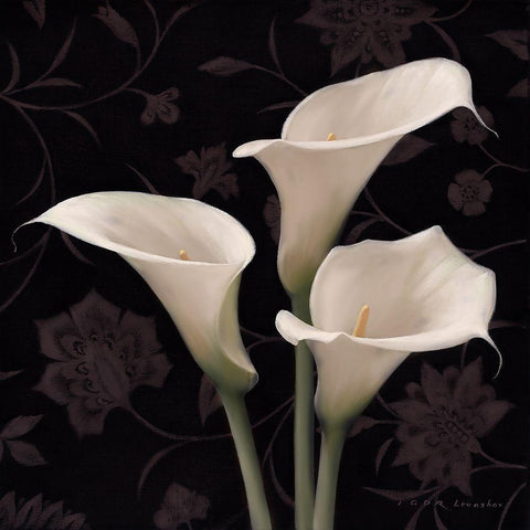 Calla Elegante White Modern Wood Framed Art Print by Levashov, Igor