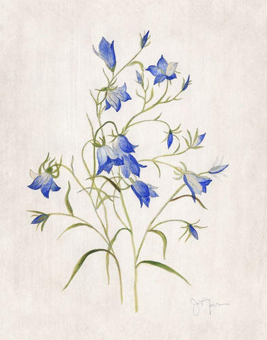 Blue Botanical I White Modern Wood Framed Art Print with Double Matting by Tava Studios