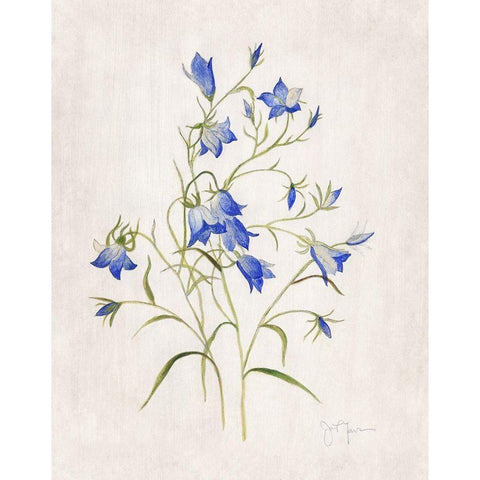 Blue Botanical I Black Modern Wood Framed Art Print with Double Matting by Tava Studios