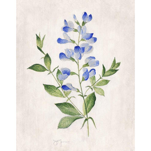 Blue Botanical II Gold Ornate Wood Framed Art Print with Double Matting by Tava Studios