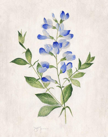 Blue Botanical II White Modern Wood Framed Art Print with Double Matting by Tava Studios