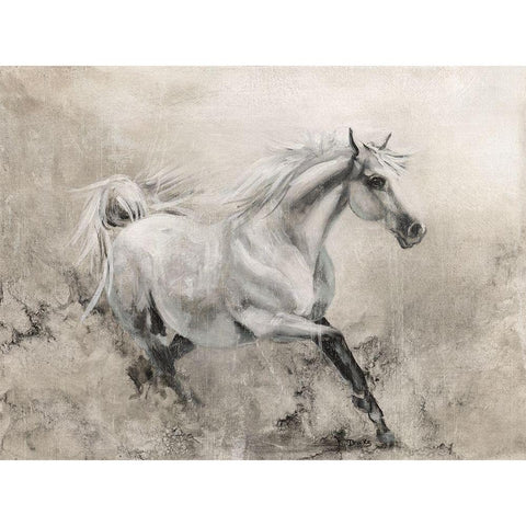 Majestic Stallion I White Modern Wood Framed Art Print by Brooks, Donna