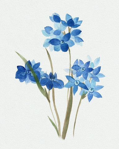 Blue Blossom Botanical I White Modern Wood Framed Art Print with Double Matting by Tava Studios