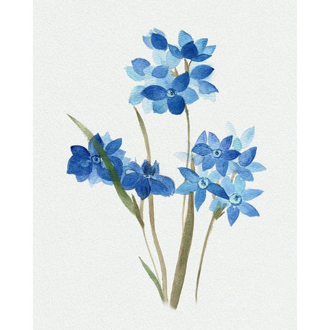 Blue Blossom Botanical I Gold Ornate Wood Framed Art Print with Double Matting by Tava Studios
