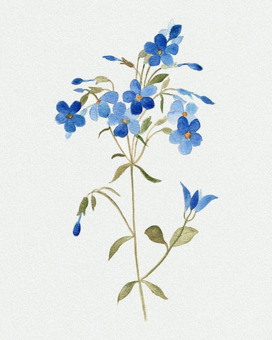 Blue Blossom Botanical II White Modern Wood Framed Art Print with Double Matting by Tava Studios