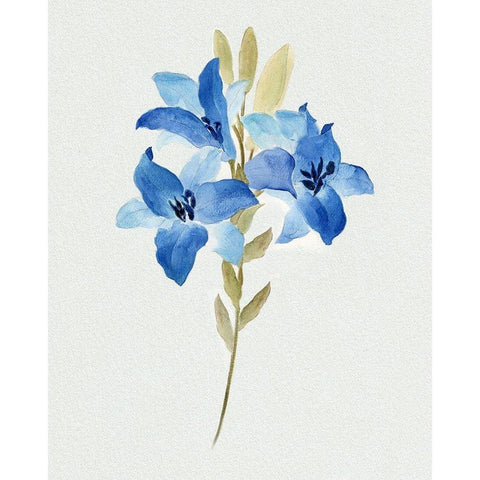 Blue Blossom Botanical III Gold Ornate Wood Framed Art Print with Double Matting by Tava Studios