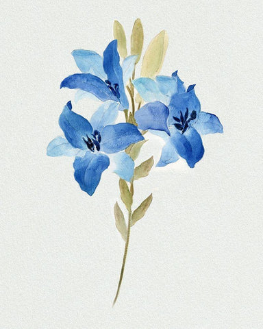 Blue Blossom Botanical III White Modern Wood Framed Art Print with Double Matting by Tava Studios