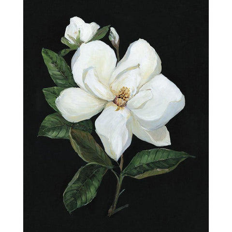 Midnight Magnolia White Modern Wood Framed Art Print by Swatland, Sally