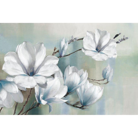 Spring Magnolias White Modern Wood Framed Art Print by Daniels, Rogier