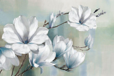 Spring Magnolias White Modern Wood Framed Art Print with Double Matting by Daniels, Rogier