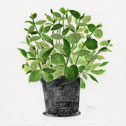 Herb Garden I White Modern Wood Framed Art Print with Double Matting by Tava Studios