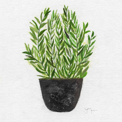 Herb Garden II White Modern Wood Framed Art Print by Tava Studios