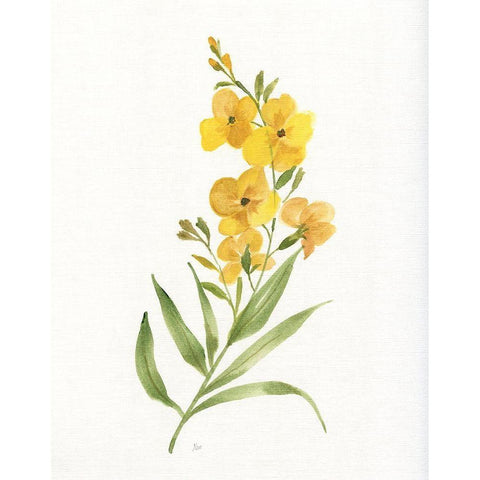 Ochre Botanical II Gold Ornate Wood Framed Art Print with Double Matting by Nan