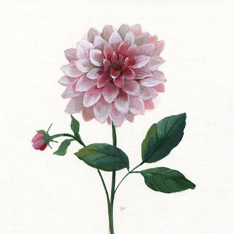 Simple Botanical IV White Modern Wood Framed Art Print by Nan
