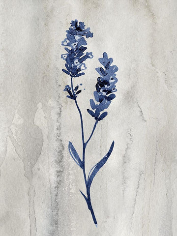 Indigo Botanical II Black Ornate Wood Framed Art Print with Double Matting by Knutsen, Conrad