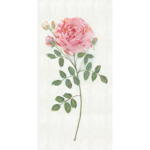 Single Stem II White Modern Wood Framed Art Print by Swatland, Sally
