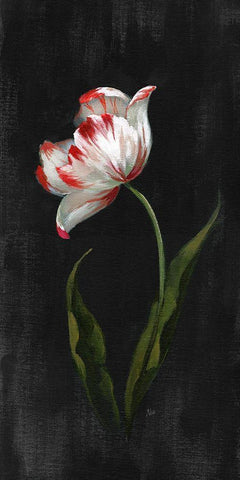 Master Botanical II White Modern Wood Framed Art Print with Double Matting by Nan