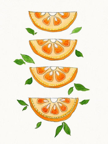 Orange Slices White Modern Wood Framed Art Print with Double Matting by Tava Studios