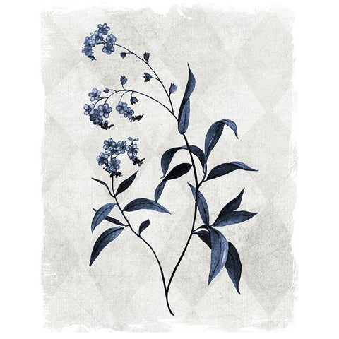 Harlequin Botanical I White Modern Wood Framed Art Print by Robinson, Carol